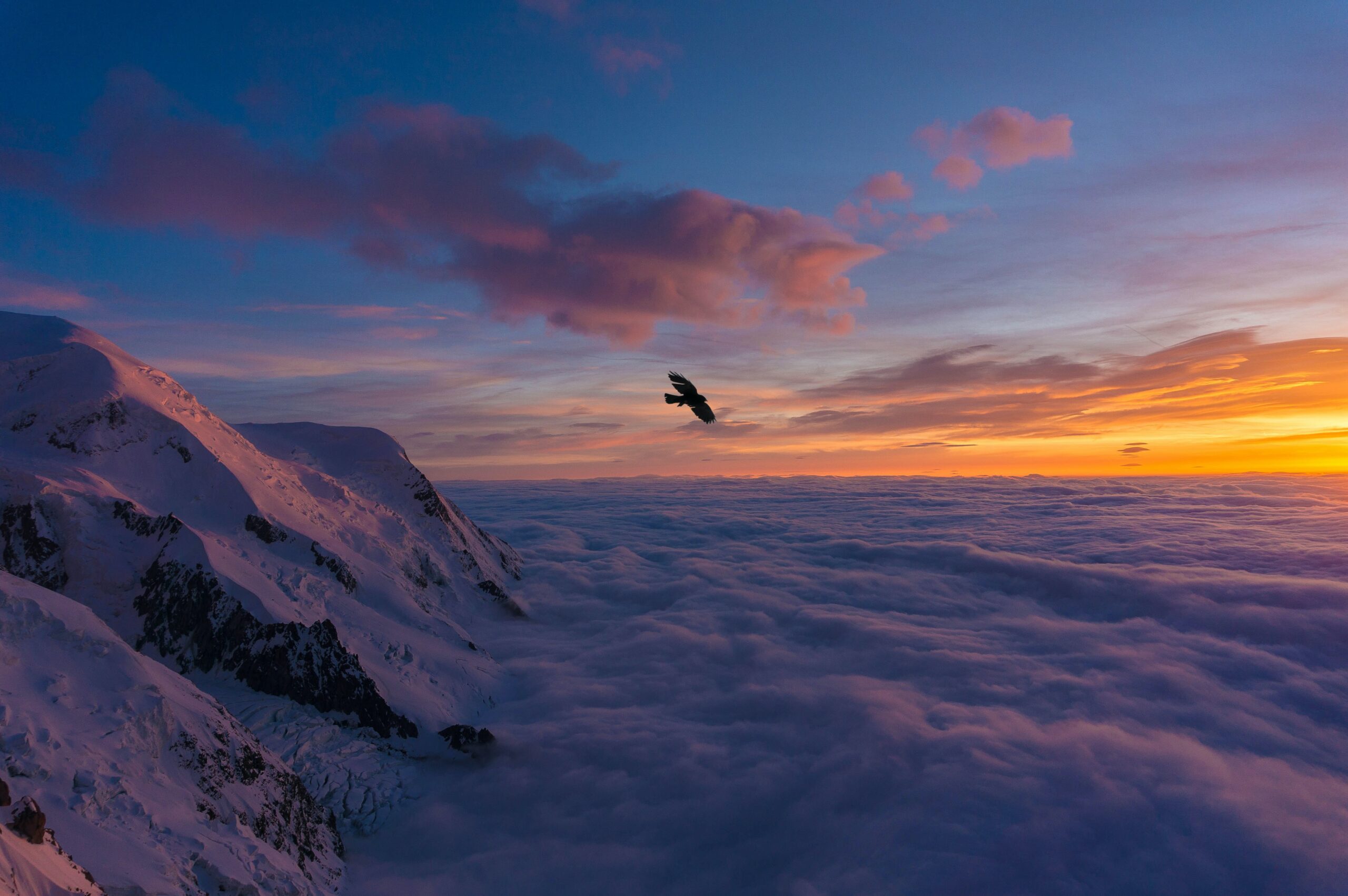 Eagle flying over clouds with mountain peaks on the right hand side.